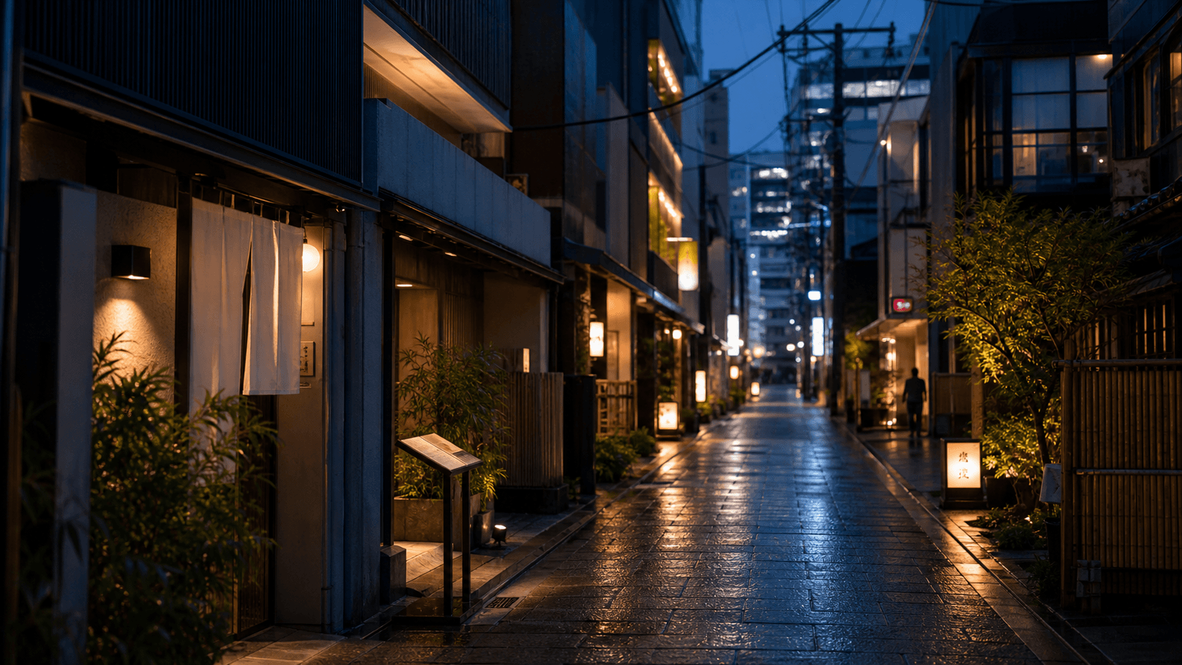 Japan view 3